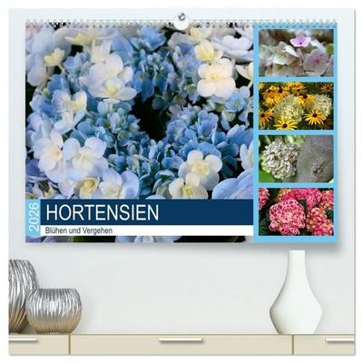 Hortensien Blühen und Vergehen (hochwertiger Premium Wandkalender 2026 DIN A2 quer), Kunstdruck in Hochglanz