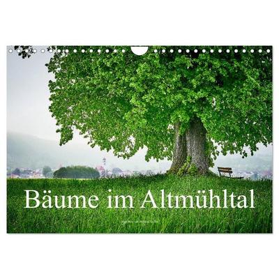 Bäume im Altmühltal (Wandkalender 2026 DIN A4 quer), CALVENDO Monatskalender