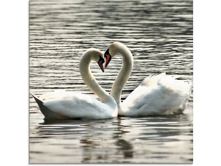 Glasbild ARTLAND Liebesspiel von Schwänen , grau (farbe bild(er): grau), B:20cm H:20cm, Bilder, Glasbild, in verschiedenen Grössen