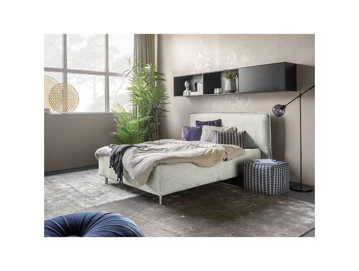 Polsterbett Homely 200 x 200cm Microfaser Alana Beige Buche