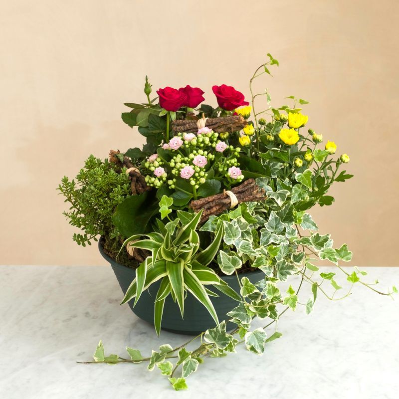 Coupe de plantes fleurie : Songe du passé, coupe de plante pour deuil - Interflora