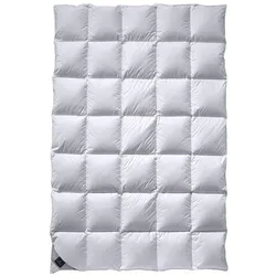 Billerbeck Nena Daunendecke Mono - 155x200cm
