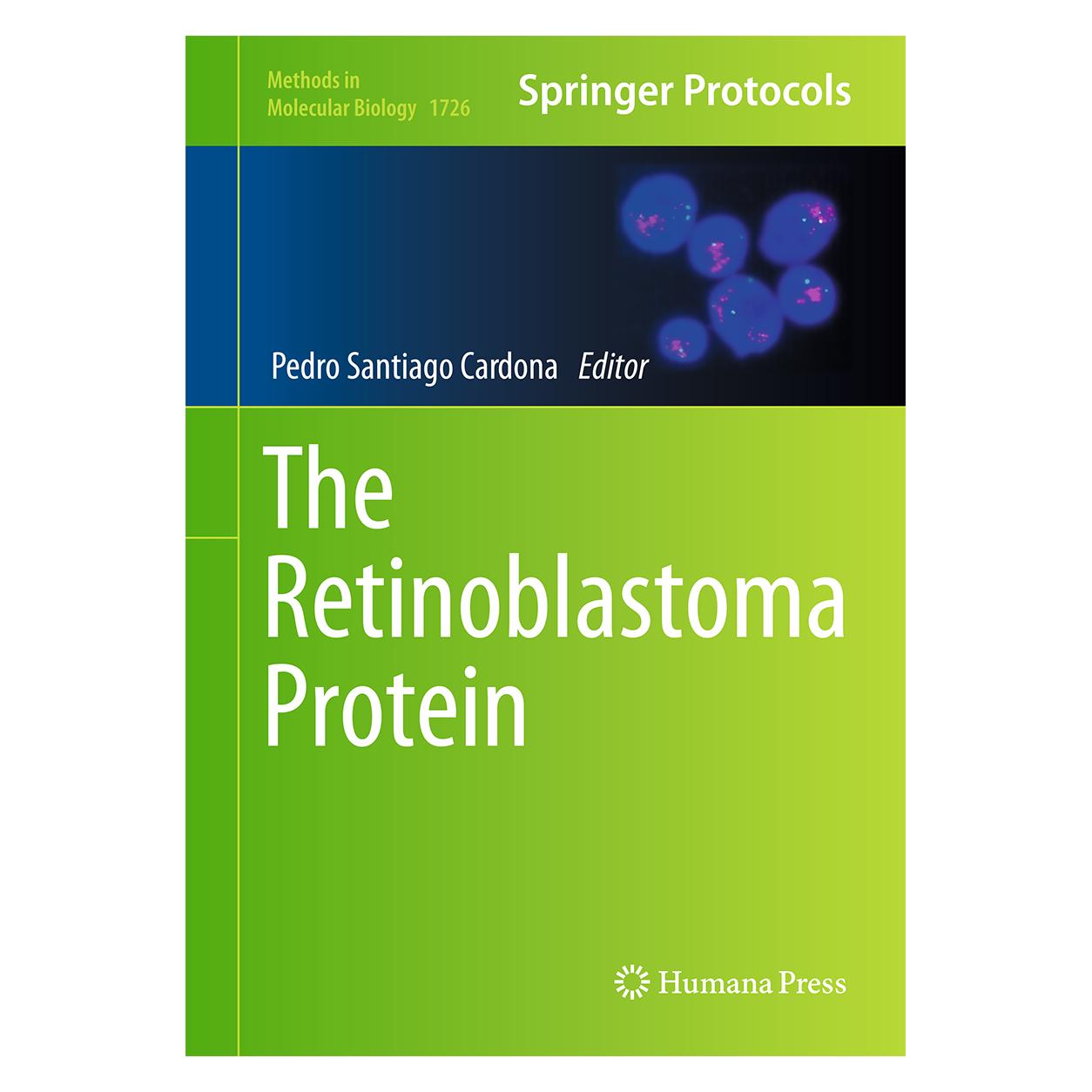 Springer Retinoblastoma Protein (Englisch, Hardcover) (9781493975648)