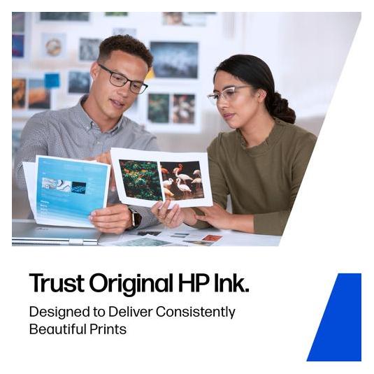 HP Officejet Enterprise (B5L09A) Tintenauffangbehälter (B5L09A)