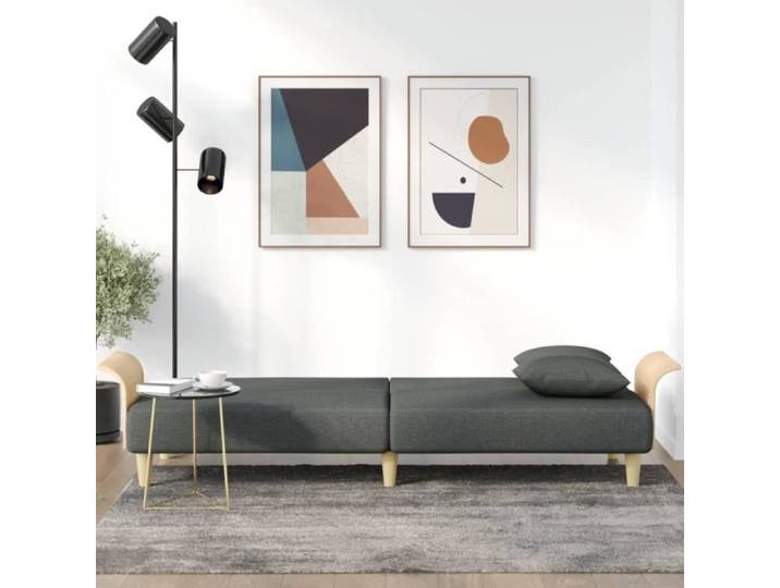 Canapé-lit - MOTHINESSTO - LY-342 - Gris foncé - Tissu 100% polyester - Convertible en lit