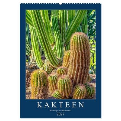 Kakteen - Stacheliges aus Südamerika (Wandkalender 2027 DIN A2 hoch), CALVENDO Monatskalender