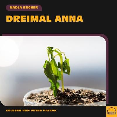 Dreimal Anna - Nadja Bucher, Audio, 9783991571063