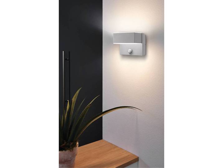 Applique murale d’extérieur 19 x 12 x 13cm Argenté