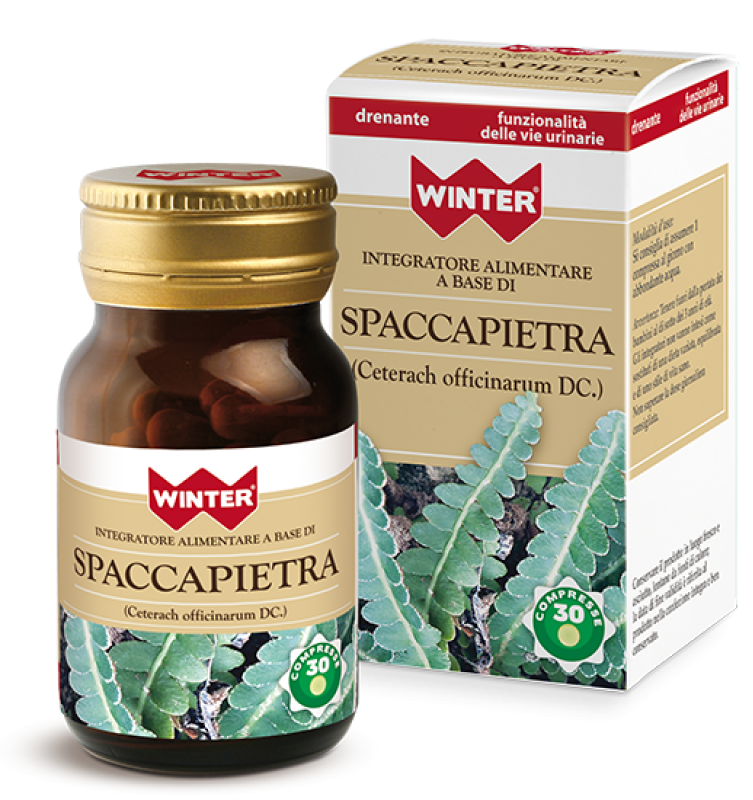 GDP Srl-GENERAL DIETET.PHARMA SPACCAPIETRA 30CPR WINTER