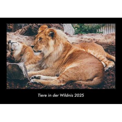 Tiere in der Wildnis 2025 Fotokalender DIN A3