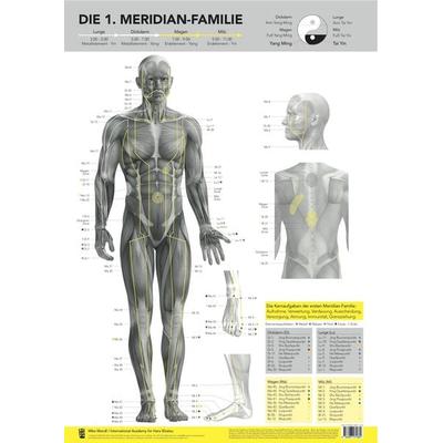 Die 1. Meridian-Familie von Mike Mandl., Sonstige von Mike Mandl, Bacopa, 978-3-903071-88-9