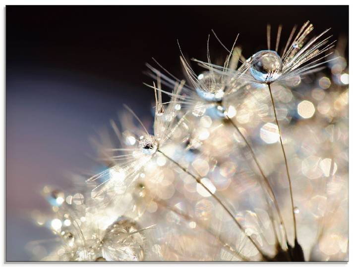 Glasbild ARTLAND Pusteblume Fantasie , bunt (farbe bild(er): bunt), B:60cm H:45cm, Bilder, Glasbild, in verschiedenen Grössen