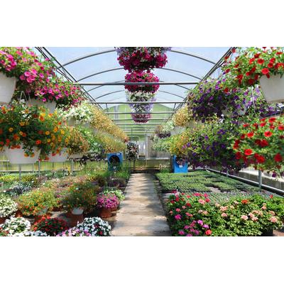 Fototapete PAPERMOON "Wintergarten", bunt, B:3m L:2,23m, Vlies, Tapeten
