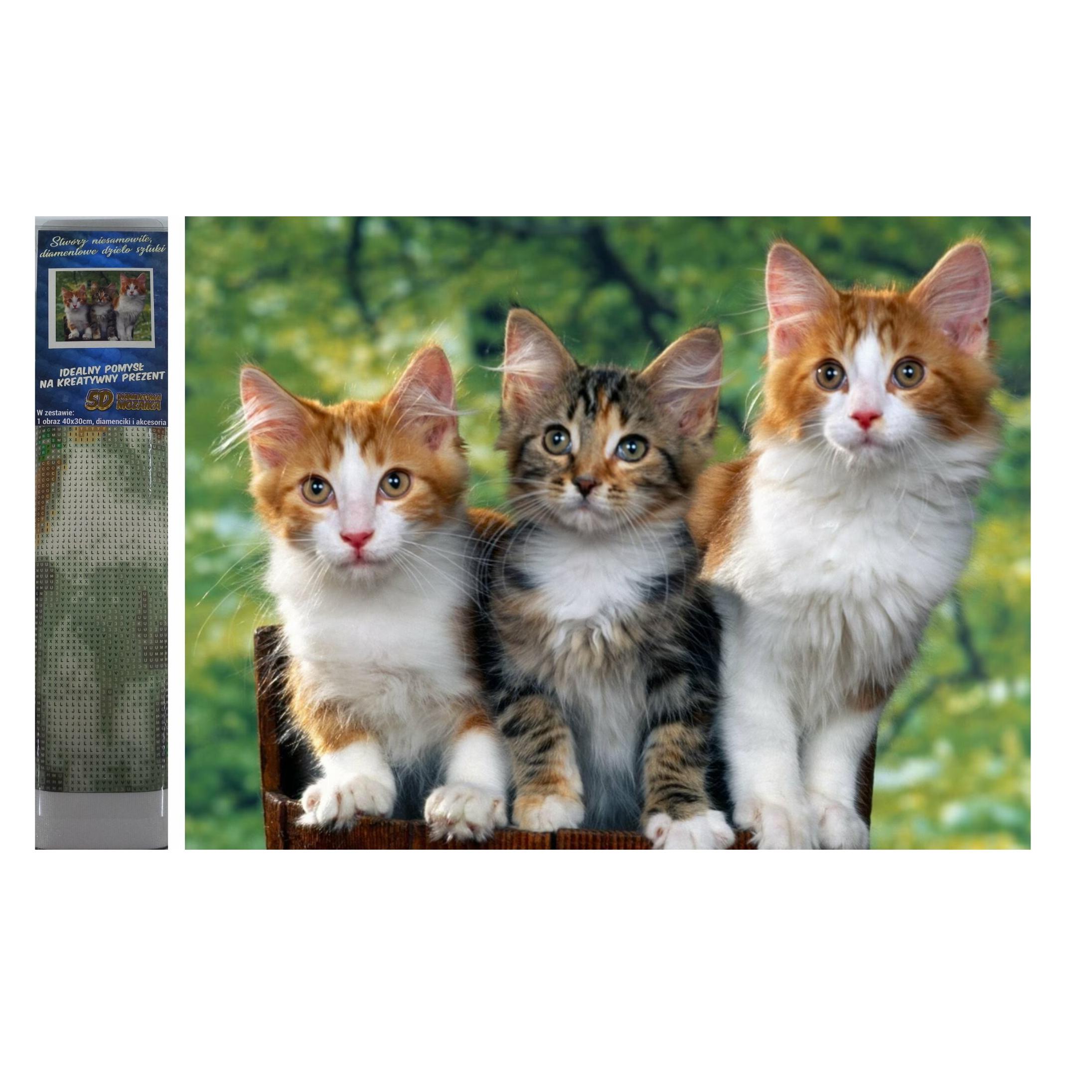 Norimpex Diamond Mosaic - Cats (NO-1008128)