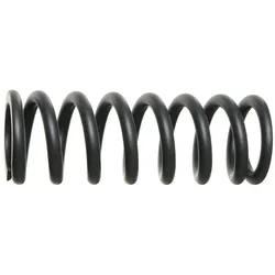 RockShox Feder 216/222 x 70 mm 350 lb schwarz