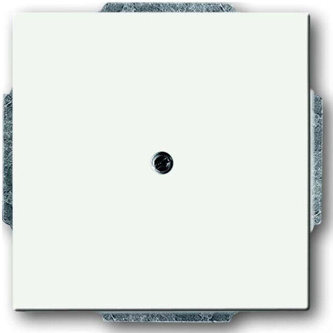 Busch-Jaeger Rosace centrale blanche avec bague de support 1742-884 (2CKA001710A3873)