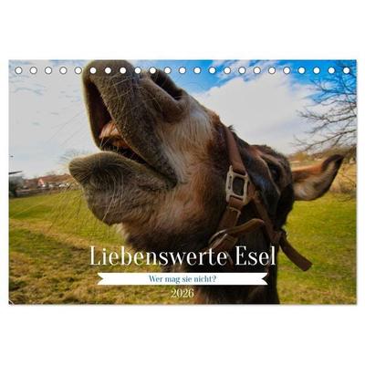 Liebenswerte Esel (Tischkalender 2026 DIN A5 quer), CALVENDO Monatskalender