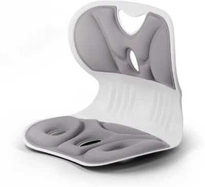 Inspired Living ErgoComfort Lumbar Support Pillow For All Day Back Relief gray