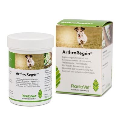Arthro Regen (2946) 160 St Tabletten