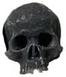 Inspired Living Miniature Skull Figurine For Halloween Decor, Dollhouses & Gothic Displays 2