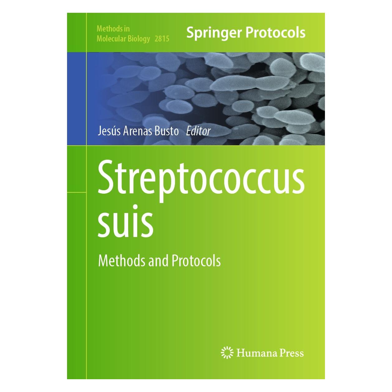 Springer Streptococcus suis (Englisch, Hardcover, Jesús Arenas Busto) (9781071638972)