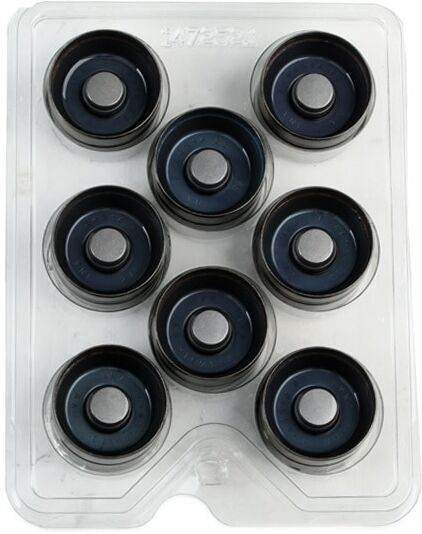 INA 428 0042 30 Camshaft kit