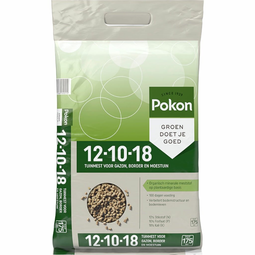 Pokon Evergreen