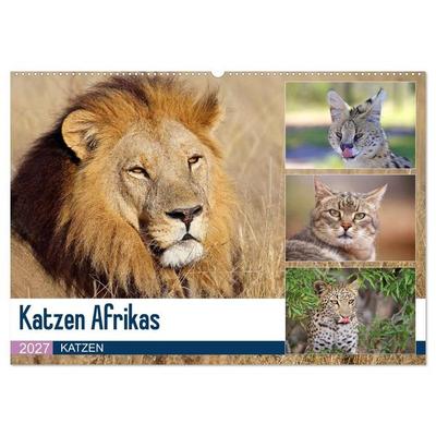 Katzen Afrikas (Wandkalender 2027 DIN A2 quer), CALVENDO Monatskalender