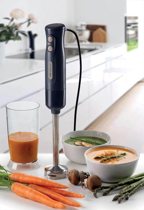 Ariete Frullatore Ad Immersione 601-grigio