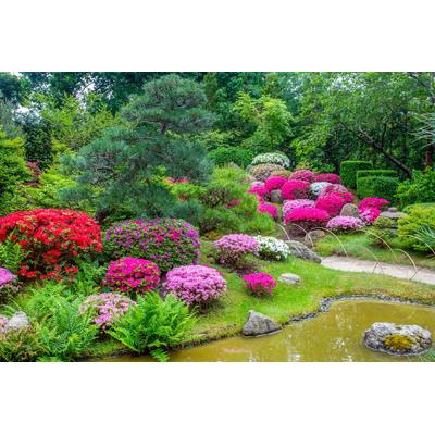 Fototapete PAPERMOON "GARTEN-BLUMEN BÄUME PFLANZEN STEINE WALD PARK BLÜTEN", bunt, B:4m L:2,6m, Vlies, Tapeten
