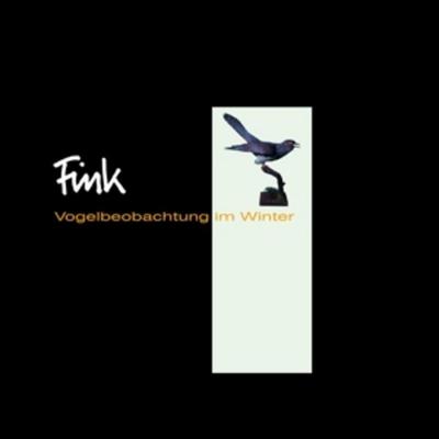 Vogelbeobachtungen im Winter (Ltd. Edition,remaste - Fink, Vinyl