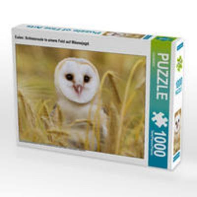 CALVENDO Puzzle Eulen: Schleiereule in einem Feld auf Mäusejagd. | 1000 Teile Lege-Größe 64x48cm Foto-Puzzle für glückliche Stunden