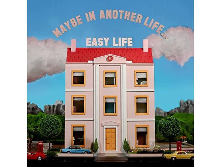 Maybe in Another Life...