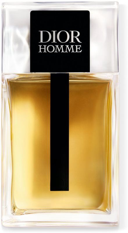 Christian Dior Dior Homme Eau de Toilette pour homme 100 ml