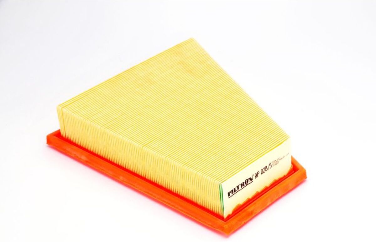 Filtron Filtro aria AP028/5