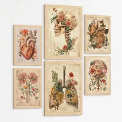 POSTER Set aus 6 Botanische Anatomie Drucke mit Herz Lungen Wirbelsäule Becken und Rippen Beige Terrakotta Erdtöne Leichter Holzrahmen A3 & A4