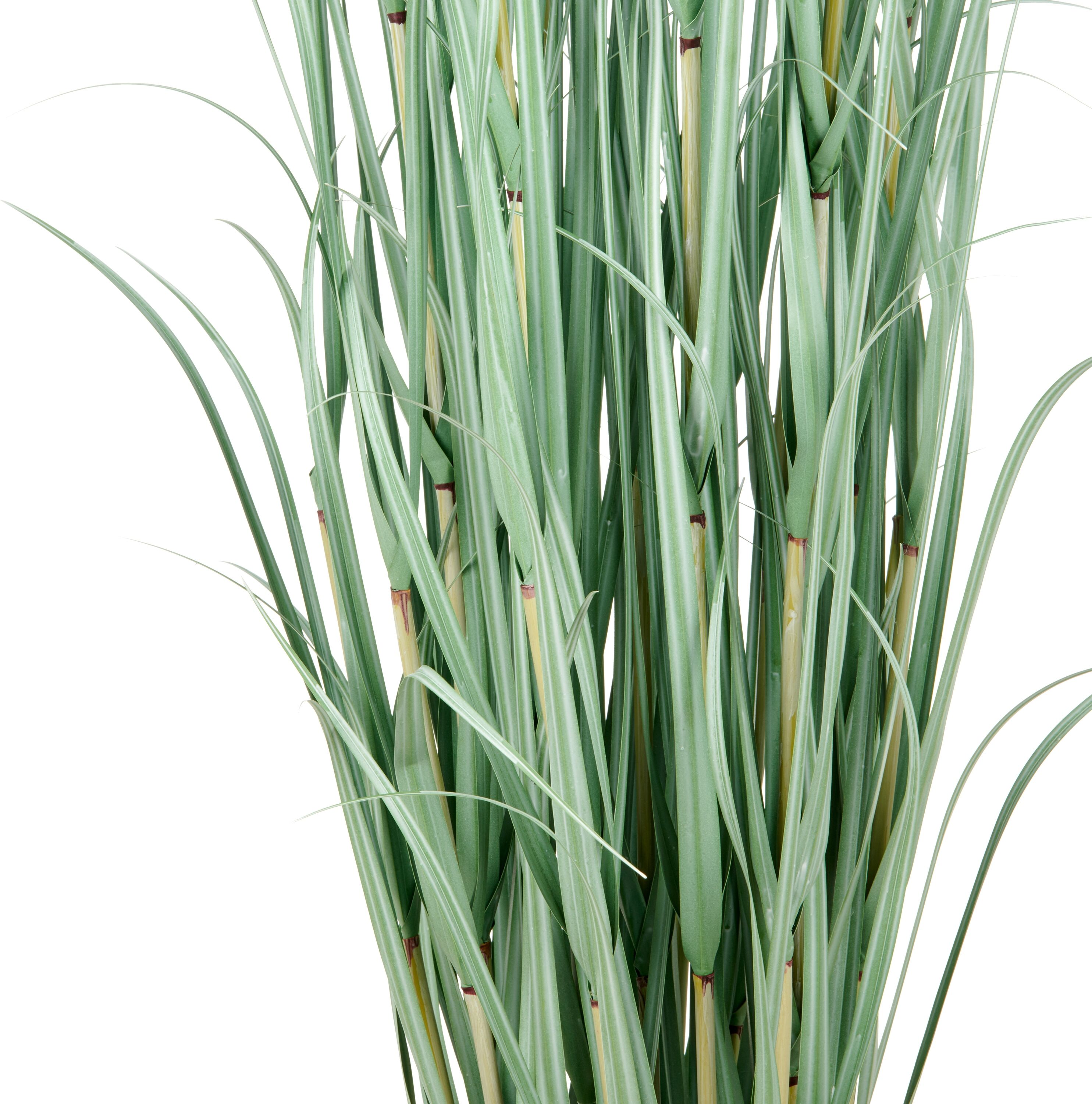 Kunstgras CREATIV GREEN "Grasbusch Cortaderia", grün, H:175cm, Kunststoff, Kunstpflanzen, Kunstgras, in opulenter Größe