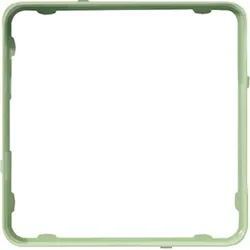Jung Applikations-Rahmen mint CDP 81 MINT CDP81MINT