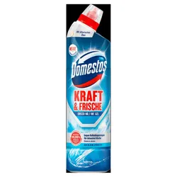Domestos WC Gel OCEAN FRESH 0,75 l
