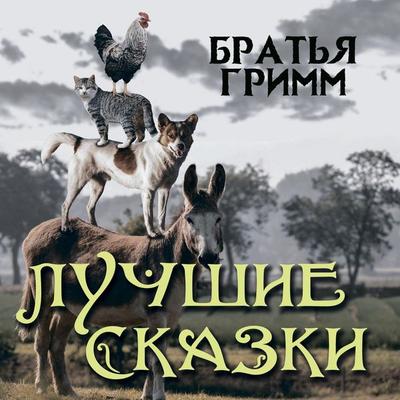 The Best Fairy Tales - Brothers Grimm, Audio, 4099995584592
