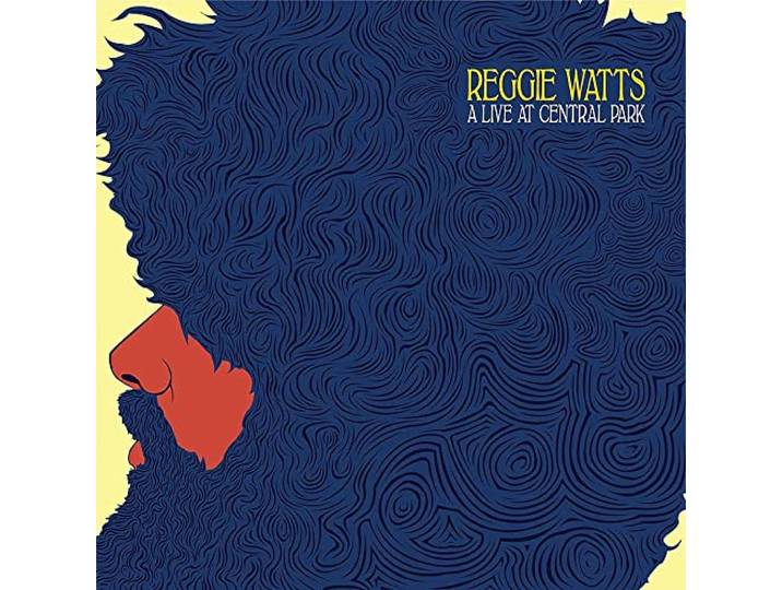 Reggie Watts - Live At Central Park