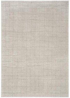 Nourison Santa Cruz Indoor Abstract Area Rug