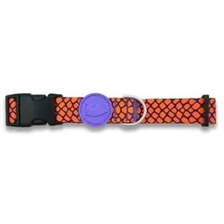 Morso Halsband Hond Gerecycled Urban Lizard Rood (Hund, Hundesport), Halsband + Leine
