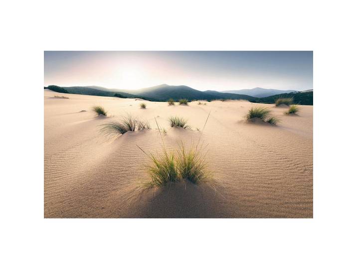 FOTOTAPETE VIVID DUNES