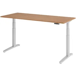 bümö elektrisch höhenverstellbarer Schreibtisch 180x80 cm in Nussbaum, Gestell in silber - Designer Bürotisch mit Memoryfunktion, elektrischer