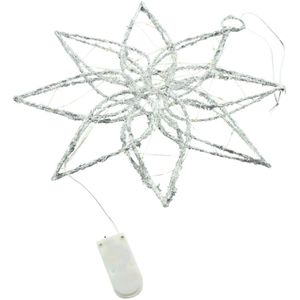 Frank-Flechtwaren Weihnachtsstern 530005, Silver, beleuchtet mit 20 LEDs, Batterie, Kunststoff / Metall, Ø 25 cm