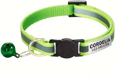 Inspire Curations SafeGlow Personalized Reflective Cat Collar With Engraved Nameplate light Green
