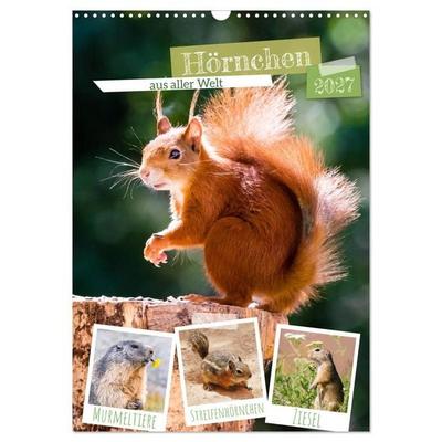 Hörnchen aus aller Welt (Wandkalender 2027 DIN A3 hoch), CALVENDO Monatskalender