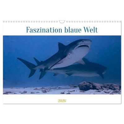 Faszination blaue Welt (Wandkalender 2026 DIN A3 quer), CALVENDO Monatskalender