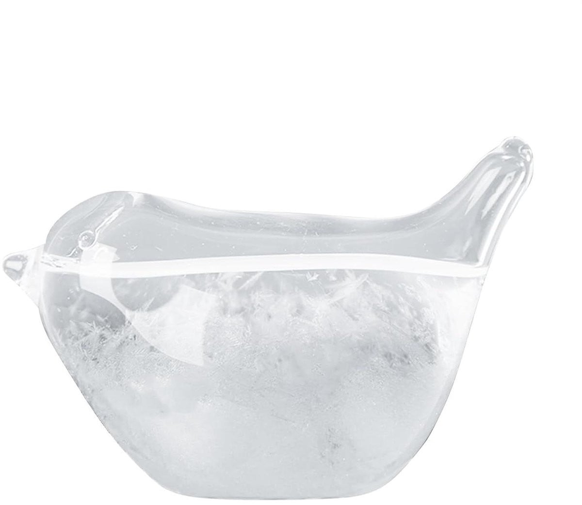 Glazen Weersvoorspeller Stormglas Weerstation met Vogel Ontwerp - Transparant - B/D/H: 23 x 15 x 10 cm